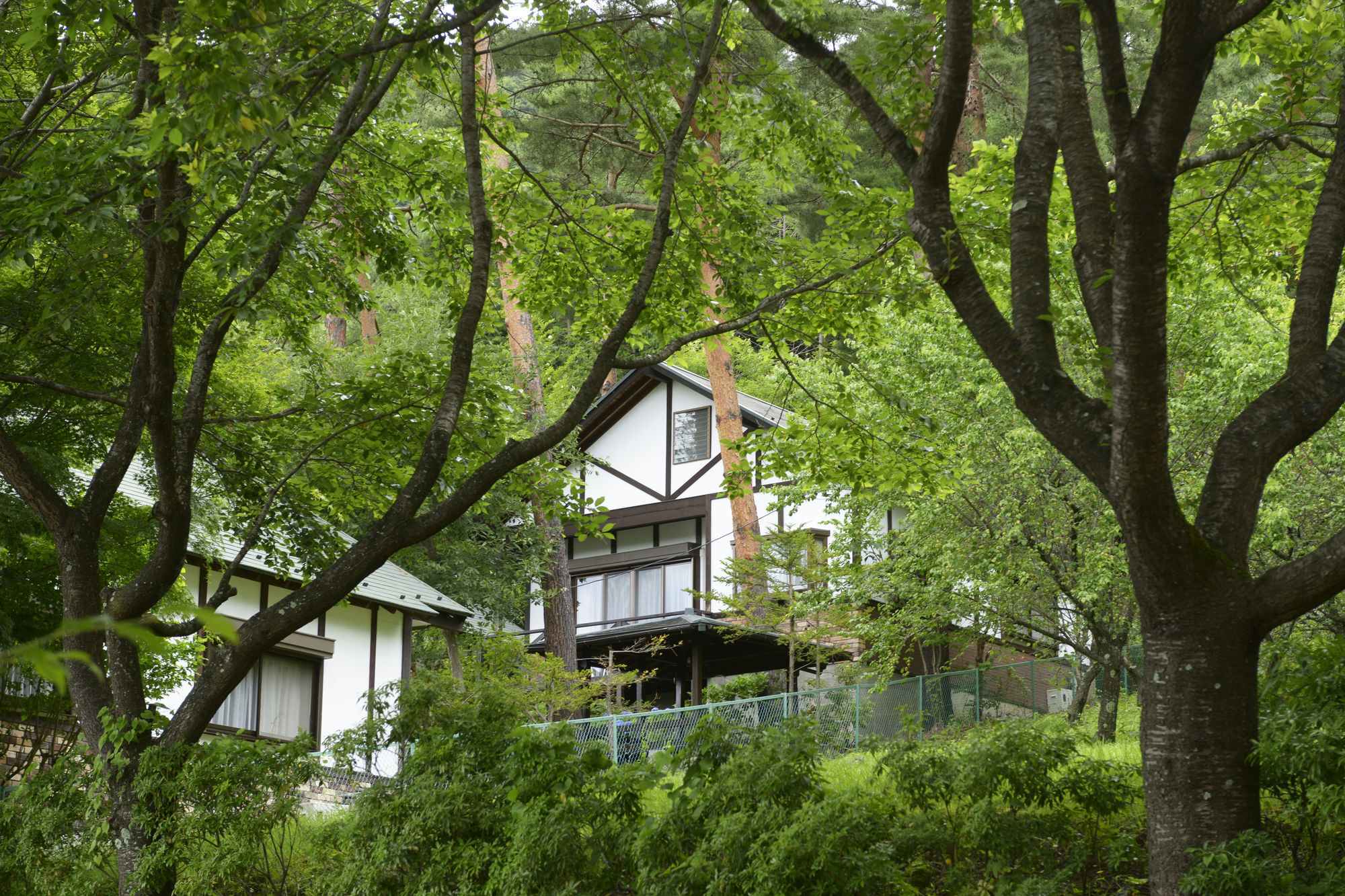 Kawaguchiko Country Cottage Ban Fujikawaguchiko Extérieur photo