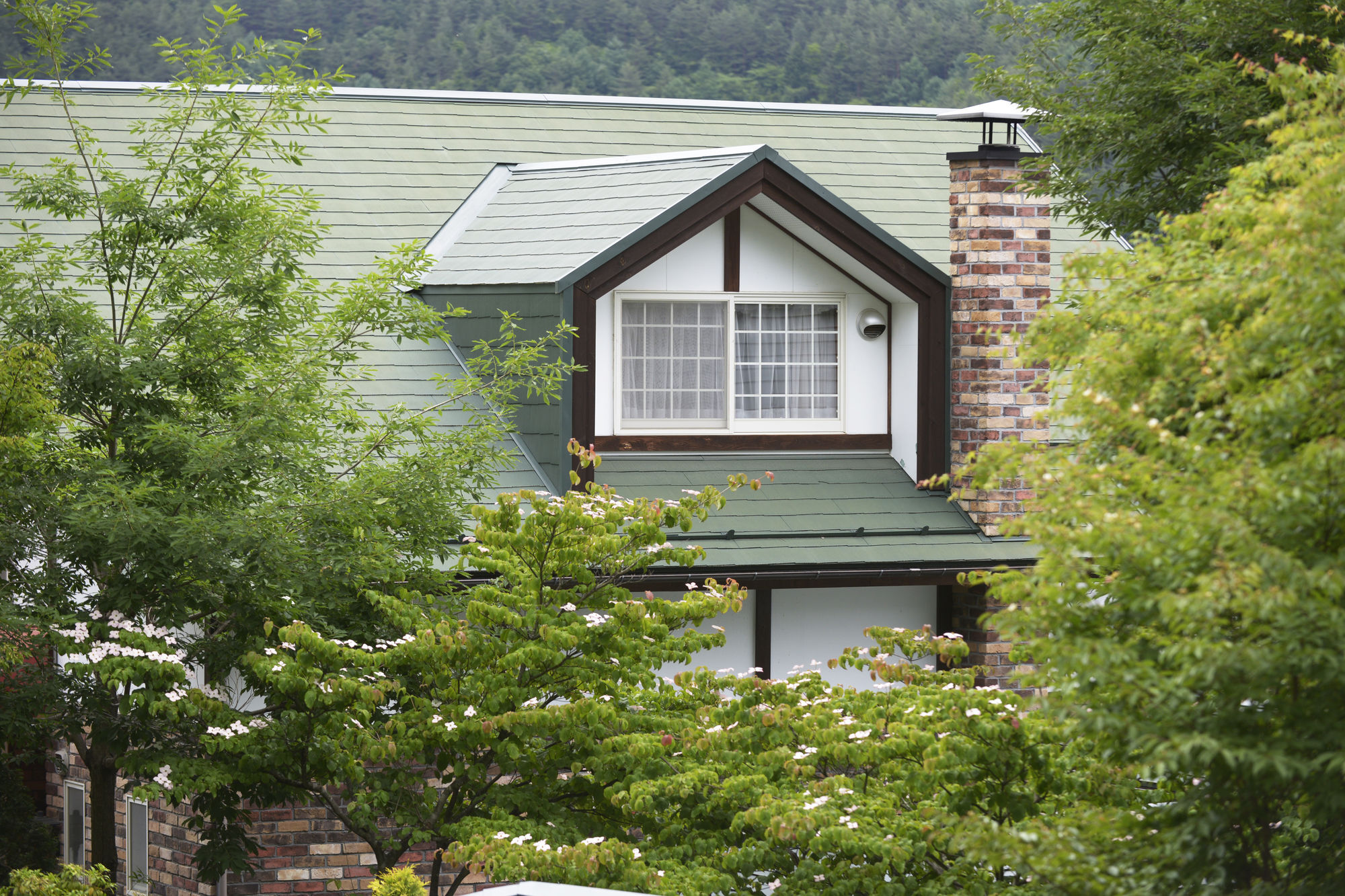 Kawaguchiko Country Cottage Ban Fujikawaguchiko Extérieur photo